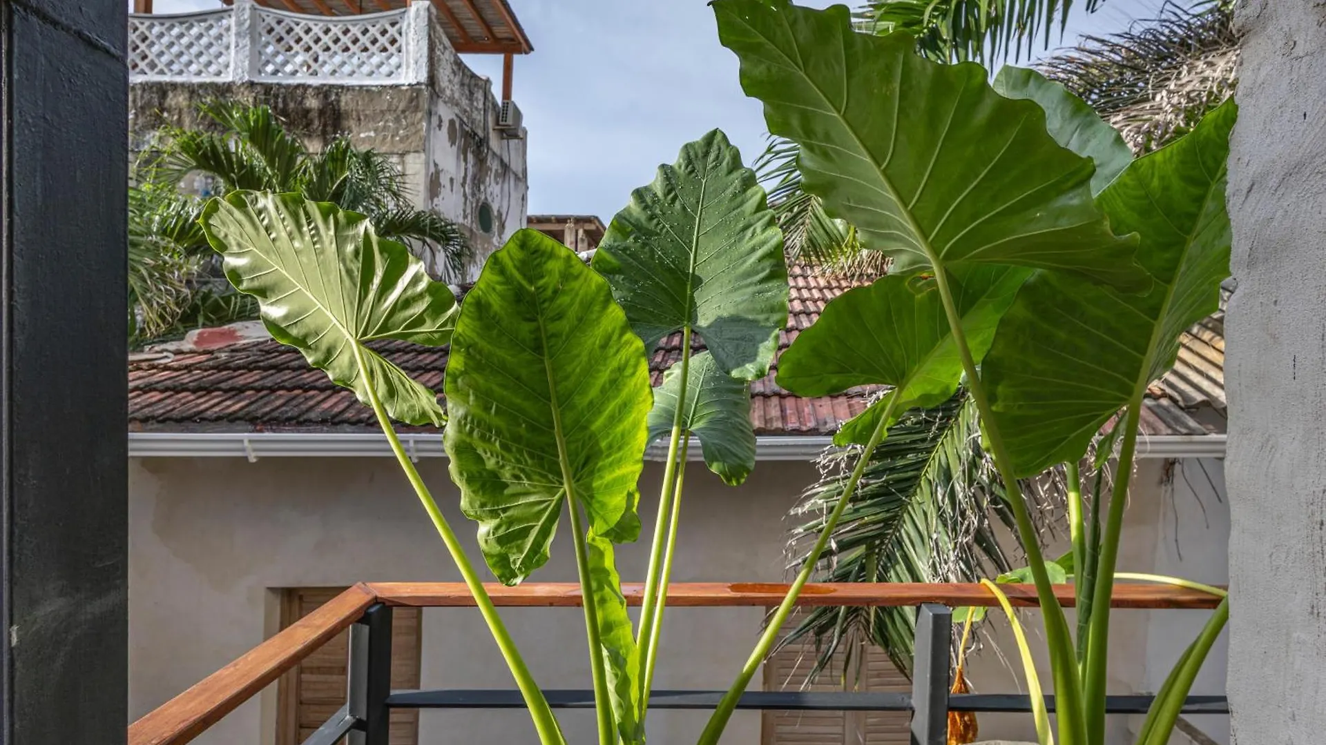 Casa Fernandez By Soho Villa Cartagena 0*,  Colombia